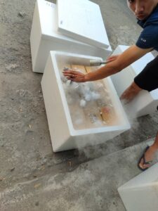 Bán đá khô ở quận 4
